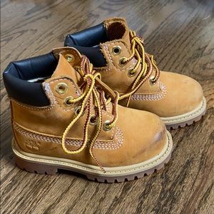 Baby Timberland Wheat Constructs